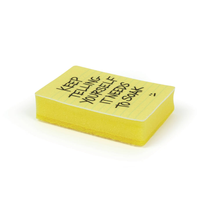 Sponges - CLEAN CONSCIENCE - Passive Aggressive Notes