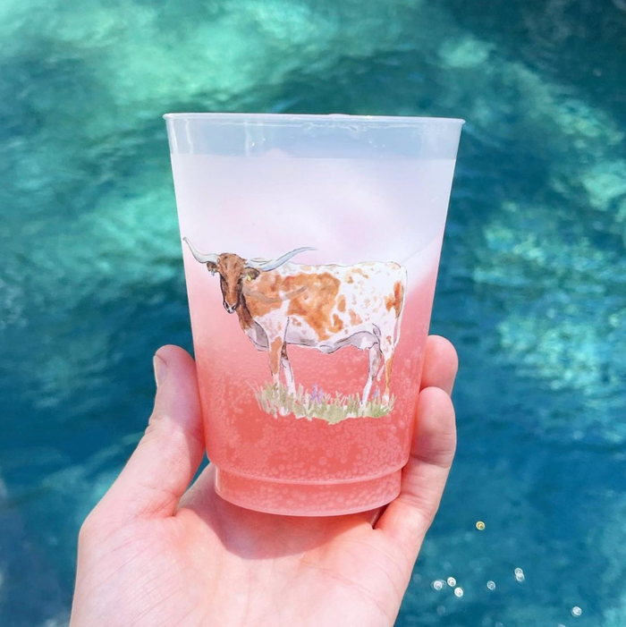 Taylor Paladino - Texas Longhorn  Frosted Cups | Set of 6