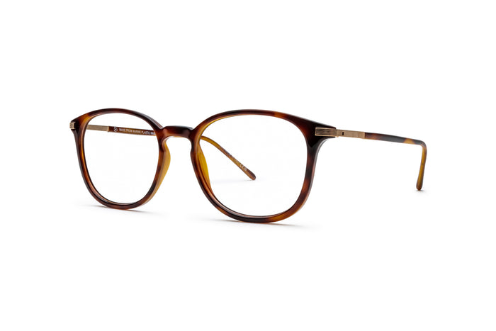 9340100620 Tortoise image-3