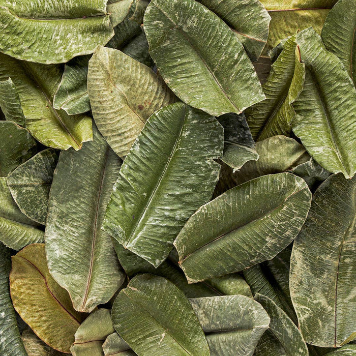 Whole Caribbean Bay Leaves - Spice & Seasoning